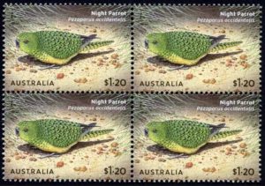 Night Parrot Stamp